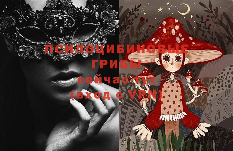 Галлюциногенные грибы Magic Shrooms  Димитровград 